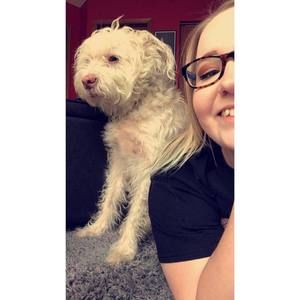 Meet your Posher, Allison